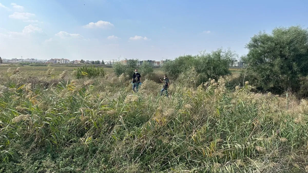 Sazlıkta parçalanmış ceset bulundu
